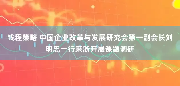 钱程策略 中国企业改革与发展研究会第一副会长刘明忠一行来浙开展课题调研