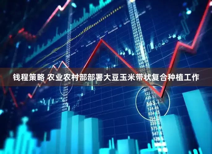 钱程策略 农业农村部部署大豆玉米带状复合种植工作